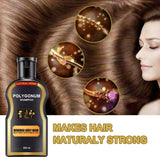 Polygonum multiflorum black hair shampoo.